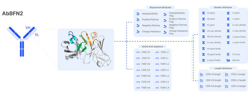 Figure 1: Illustration of AbBFN2’s holistic understanding of an antibody. Demonstration of how AbBFN2 learns the genetic and biophysical attributes of an antibody, as well as sequence. Source: Internal