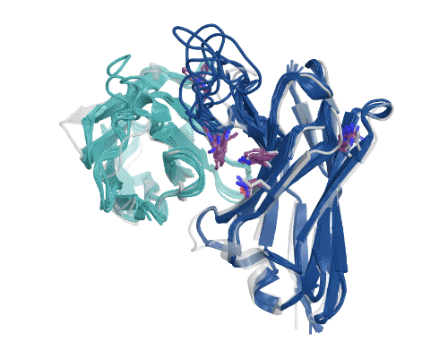 Figure 5: Illustration of AbBFN2’s multi-objective design capabilities. Comparison demonstrates how frequently requested features are in the held-out OAS data and the conditionally generated AbBFN2 samples. (Right) a set of conditionally generated samples (navy and cyan) folded and superimposed on a known antibody with the requested attributes. The VH is shown in navy and the VL in cyan, with specific residues of interest shown in purple. Source: Internal.