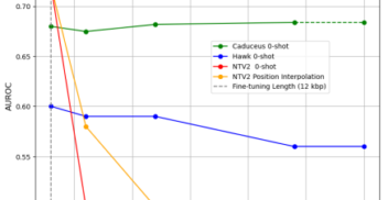 Comparison of the extrapolation methods of state-space models and attention-based models on VEP eQTLs (AUROC). For NTv2, we also reported an inference-time extrapolation method: position interpolation. A dotted vertical line indicates the fine-tuning sequence length (12 kbp) of all models. Attention-based models collapse when processing sequences that are longer than what they have encountered at training time, whereas state-space models show an ability to generalize to sequences up to 10x longer. Lines that turn into dotted indicate values that we were unable to compute due to computational cost constraints and are therefore assumed based on trends.